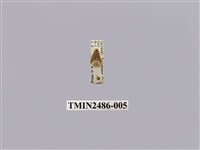 藏品(黃波緣苔蛾)的圖片